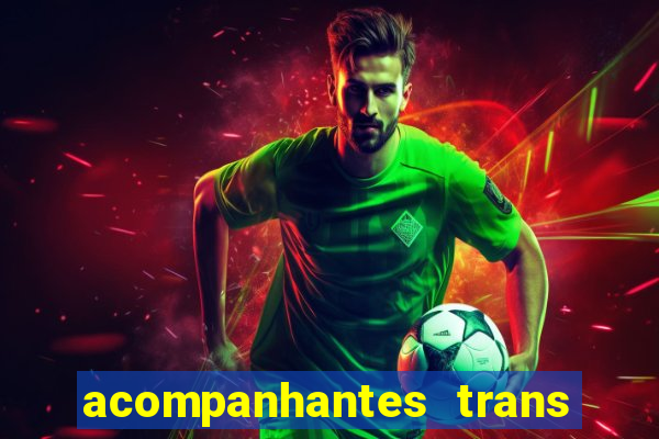 acompanhantes trans baixada fluminense